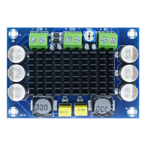 Placa Amplificadora De Audio 100w Tpa3116 Mono Canal