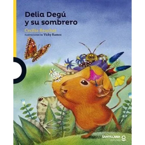 Libro Delia Degú Y Su Sombrero