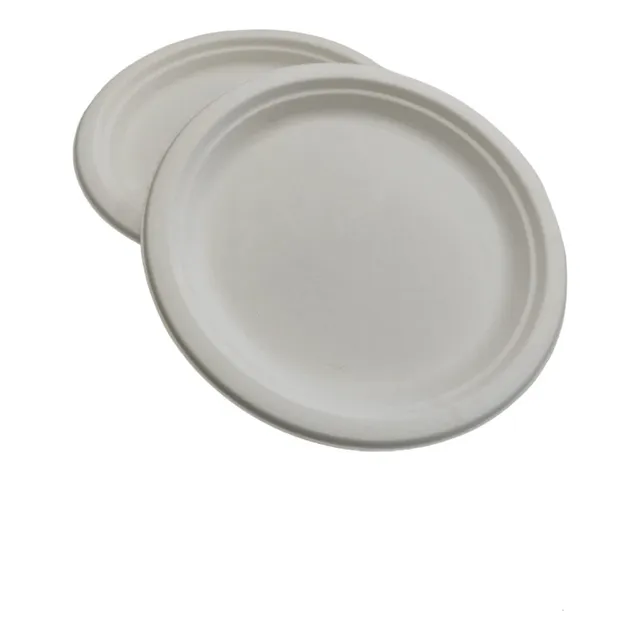 Plato Bagazo Caña Azúcar Compostable 23 Cms / 100 Unidades