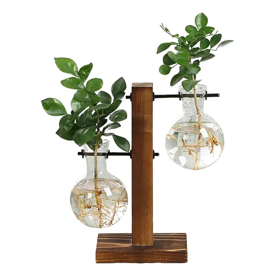 Vaso Para Plantas, Vaso, Vaso De Vidro Com Suporte
