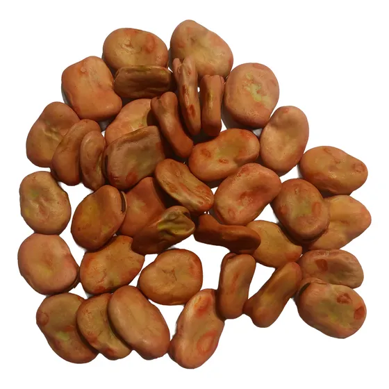Semillas Habas Desinfectadas Super Aguadulce 100 Grs 60 Semi