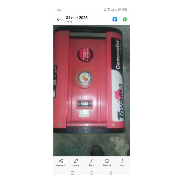 Generador Eléctrico 3 Kw 110-220v Tamayo