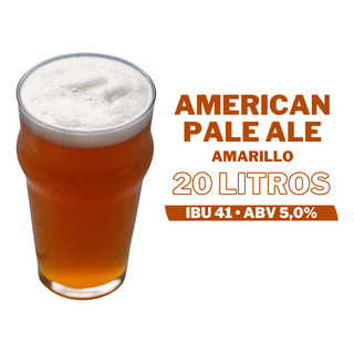 Kit Insumos Para Cerveja Apa 20l + 2 Brindes Kit Insumos Para Cerveja Apa 20l + 2 Brindes
