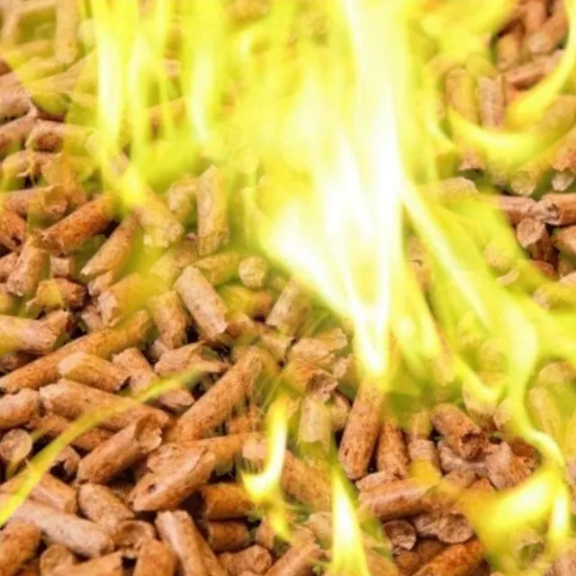 Pellet Lareira Para Fogueira Forno De Pizzaria Combustível