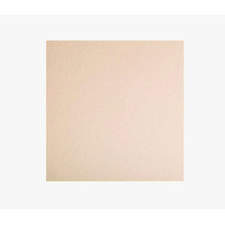 Cempanel Liso 6 M 1.22 X 2.44 Mts. Cempanel Liso 6 M 1.22 X 2.44 Mts.