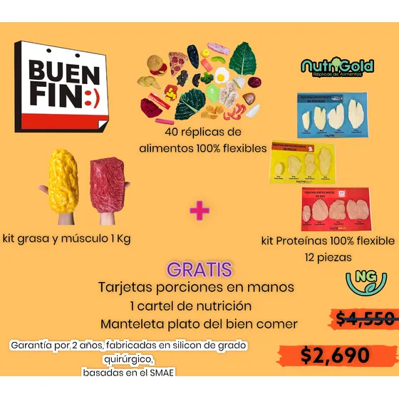 Réplicas De Alimentos Buen Fin/ Material Didáctico Nutricion