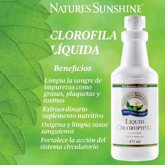 Clorofila Líquida De Nature's Sunshine La Original 