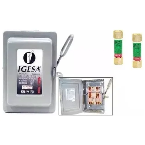 Caja Fusible Acometida Mufa 2p Interruptor Cfe Luz Palanca