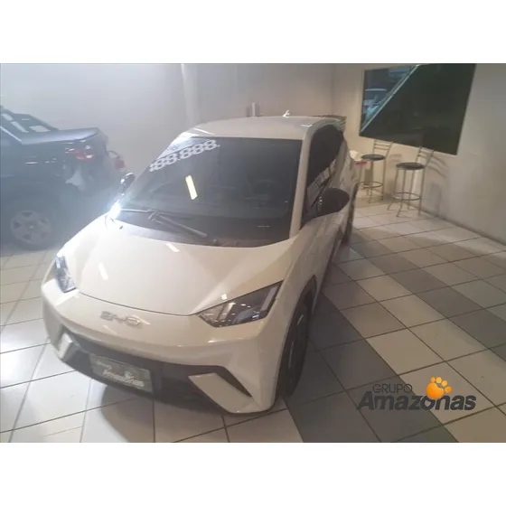 Byd Dolphin Mini 38 Kw Elétrico