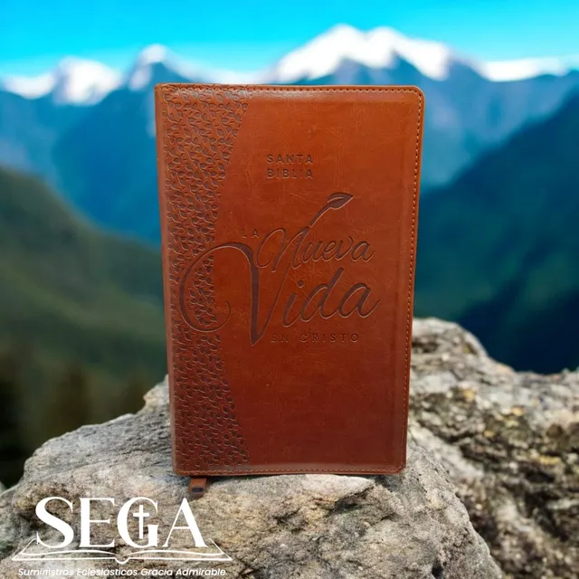 Biblia Economica Con Forro Y Curso De Discipulado Nvi