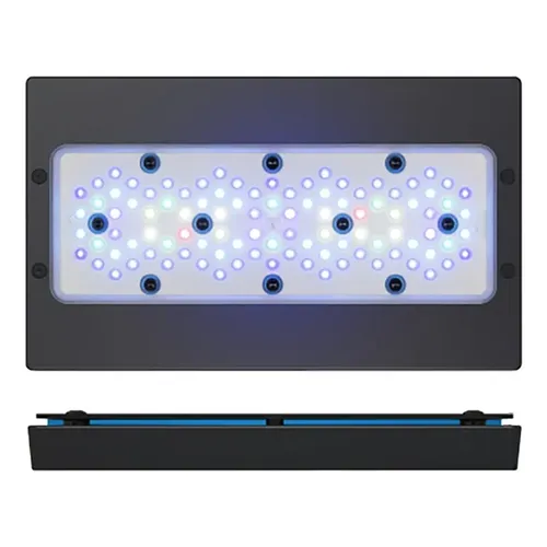 Luminária Led Ecotech Marine Radion Xr15 G6 Blue 90w
