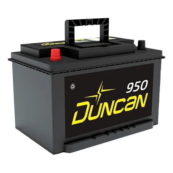 Batería Duncan 42 - 950 Renault Sandero Domicilio Incluido