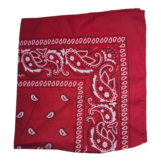 Pañoletas Bandanas Modelo De Bacterias Pack De 2unds