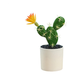Plantas De Cactus Artificiales Cactus Falsos Plantas De Cact Plantas De Cactus Artificiales Cactus Falsos Plantas De Cact