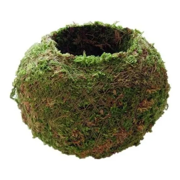 2x Maceta Bonsái Flor Titular Accesorios De Jardinería