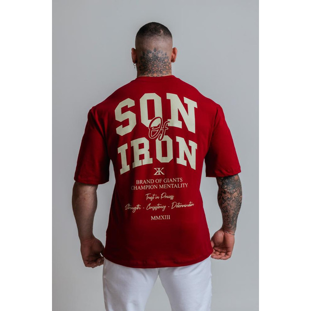 Camisa Masculina Bordô Academia Mangas Curtas Leve Bulking Camisa Masculina Bordô Academia Mangas Curtas Leve Bulking