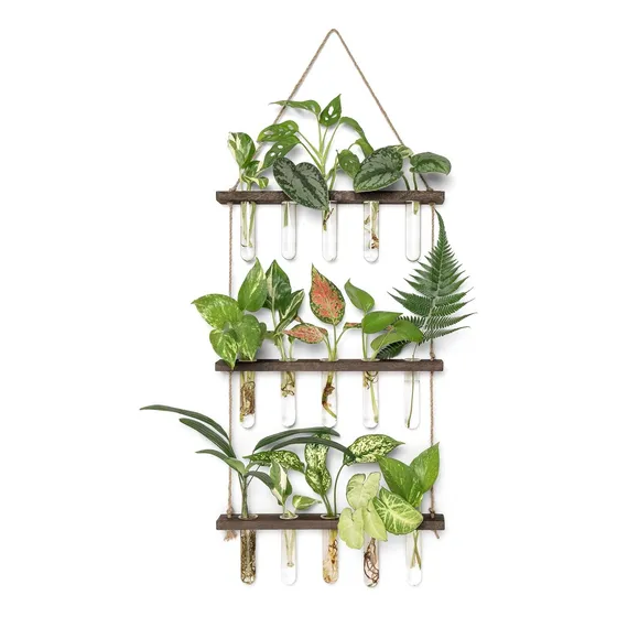 Estación De Propagación Para Plantas De Vidrio Con Colgantes