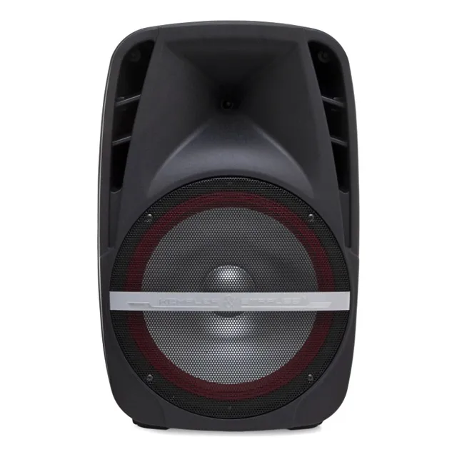 Bafle Kempler & Strauss Jb 15''