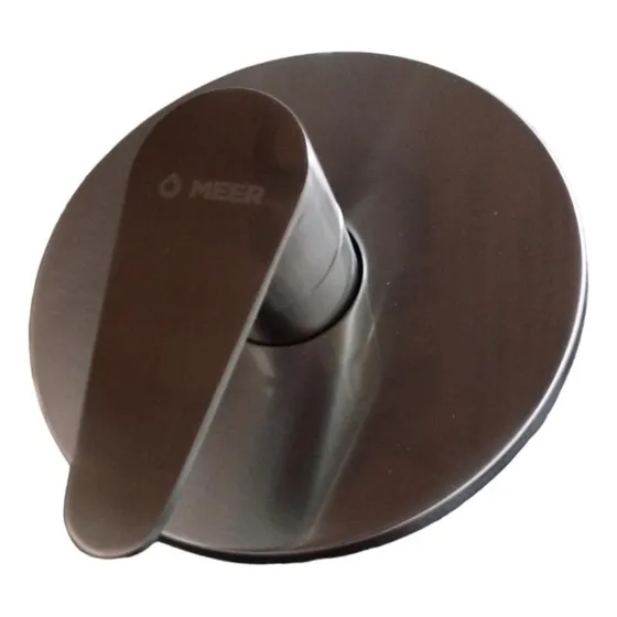 Mezcladora Monomando Para Regadera Satin Meer Color Gris oscuro