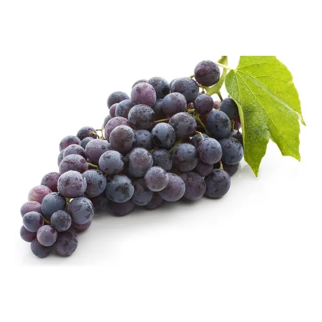 Muda De Uva Enxertada  - Syrah