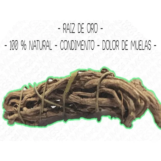 Raíz De Oro / Chilcuague /pelitre (heliópolis Longipes) 