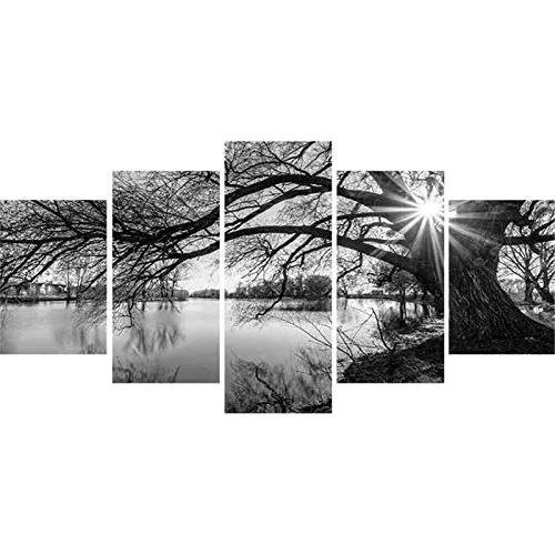 Kit Pintura Diamante Completo 5d Superficie Lago Arbol Negro