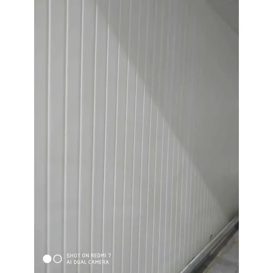 Láminas Pvc Cielo Raso, Machihembrado Y Revestimientos