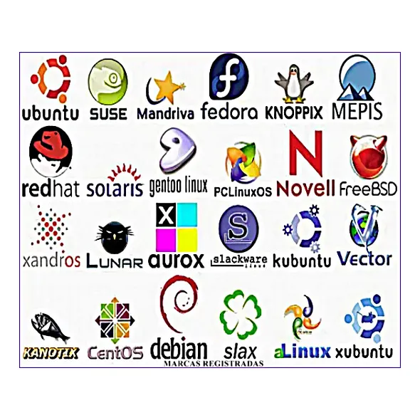 Tecnico Asesoria Instalación Distros Linux Mint / Ubuntu