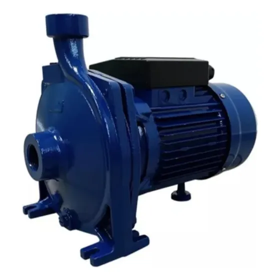 Bomba De Agua Centrifuga 1hp 110v Roccia