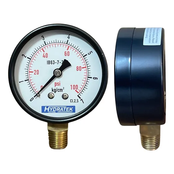 Manómetro Seco 0-100 Psi (0-7 Kg/cm²), 2.5'' Inferior