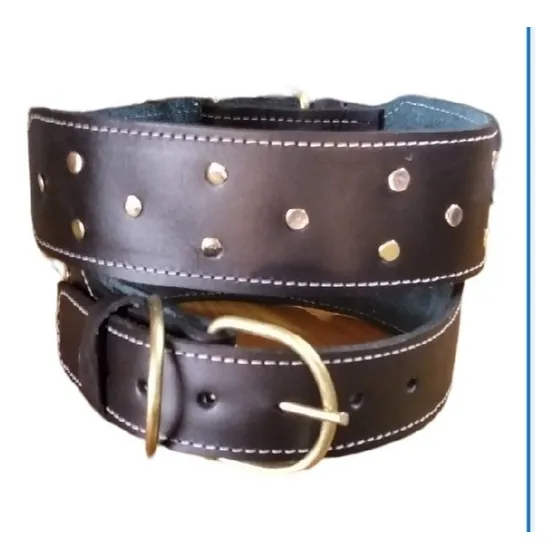 Collar De Cuero Para Perro
