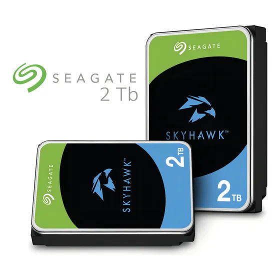 Disco Rígido Interno Seagate Skyhawk St2000vx008 2tb Cor Cinza
