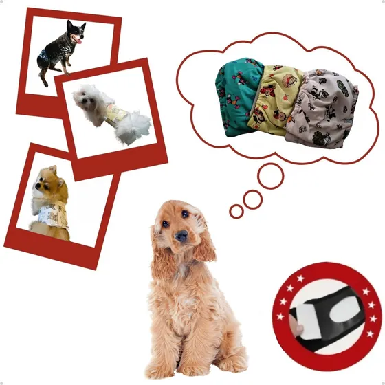 Kit 3 Fraldas Impermeável Reutilizável Para Cachorro Macho