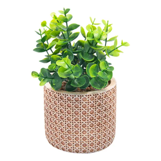 Cachepot Com Suculenta Wolff Treliça 10 X 10 X 18 Cm