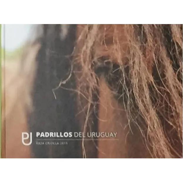 Padrillos  Del Uruguay  Raza Criolla  2015