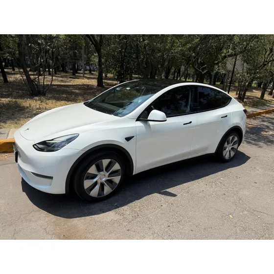 Tesla Model Y Performance