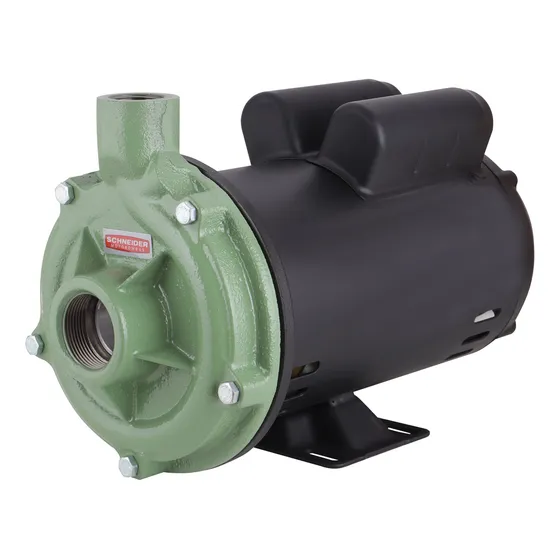 Bomba Centrífuga Schneider Bc-92s1c 3/4cv Monof.127/220/254v
