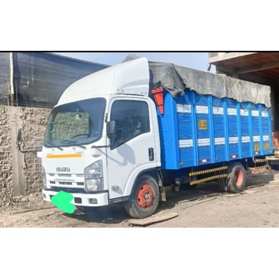 Isuzu Euro Japones