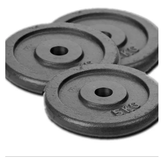 Discos Comunes De Fundición 5 Kg