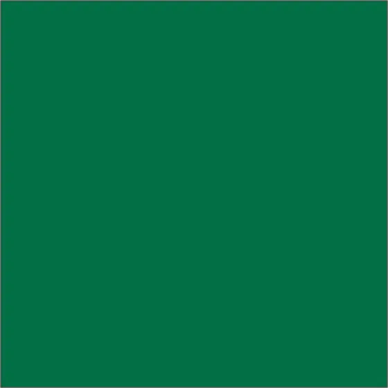 Folha De Eva Liso 40x50cm 2mm Pacote Com 10 Un