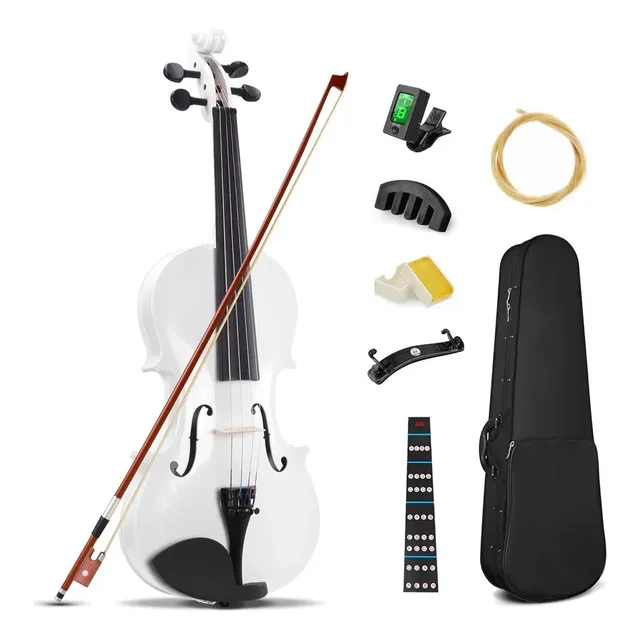 Violin Acustico 4/4 Profesional Con Estuche+arco+accesorios