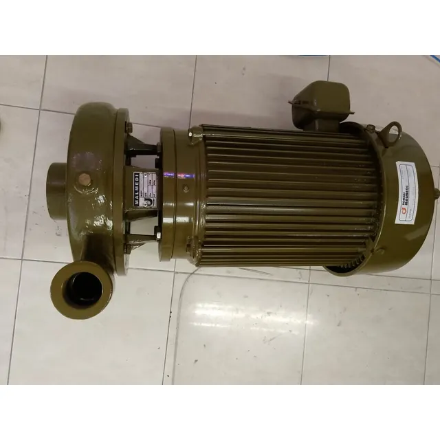 Bomba Centrífuga Malmedi Azf 40-200 A 10 Hp