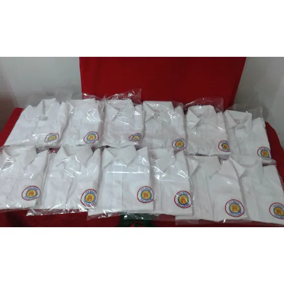 Camisas Colegiales Modelo Basico Y Princesa