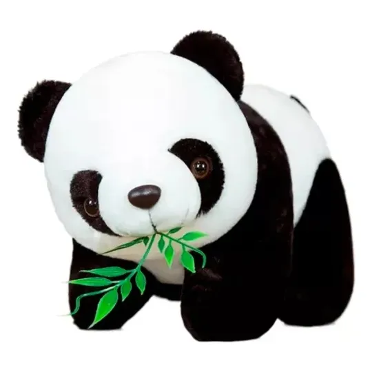 Oso Panda