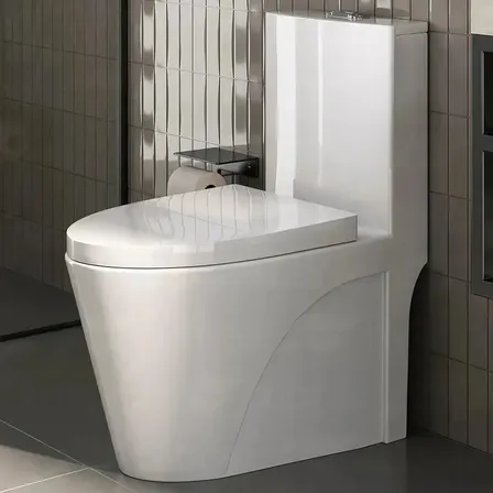 Vaso Sanitário Monobloco Caixa Acoplada Completo - Privada Branco