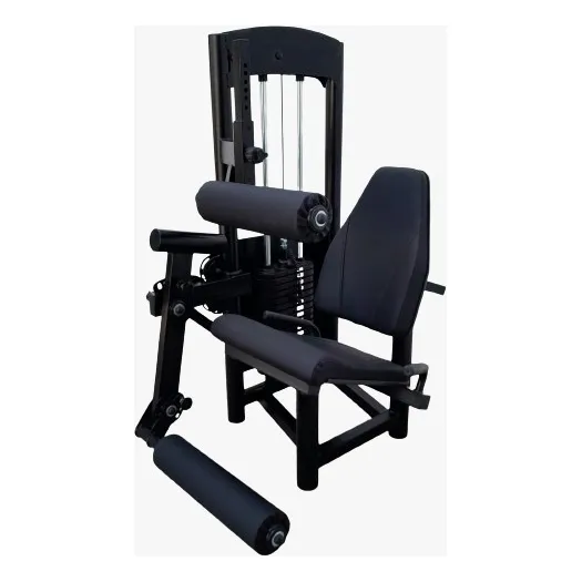 Barra Guiada E Flexora Extensora