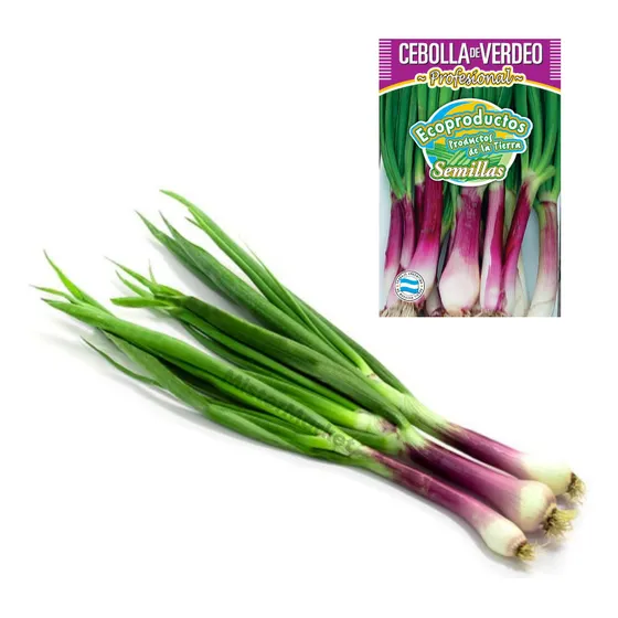 Semillas Cebolla De Verdeo Cultivo Hortalizas Ecoproductos