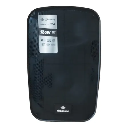 Caixa Amplificada Ativa De 15 Waldman Pty 700 Cor Preto