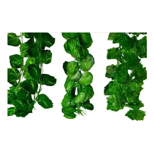 Enredadera 1 Paquete X 12und De210 Cm Hoja Mata Fina Grande 