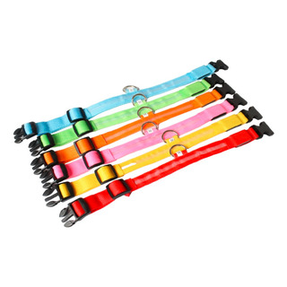 Kit 5 Collar Luz Led Luminoso Antipérdida Perros Y Cachorros Kit 5 Collar Luz Led Luminoso Antipérdida Perros Y Cachorros